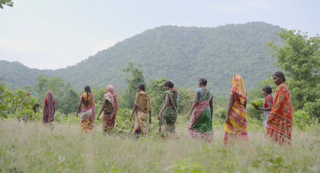 Tribals revive degraded forests; restore water, livelihoods