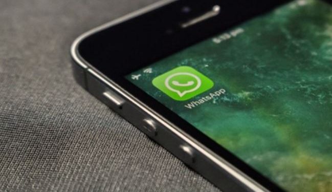 WhatsApp logo