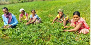 farming