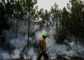 French wildfire