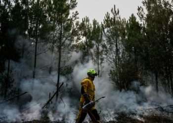 French wildfire