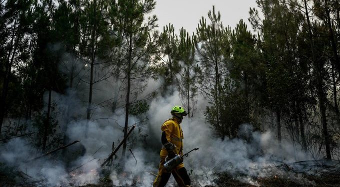French wildfire