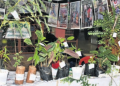 Kitchen garden