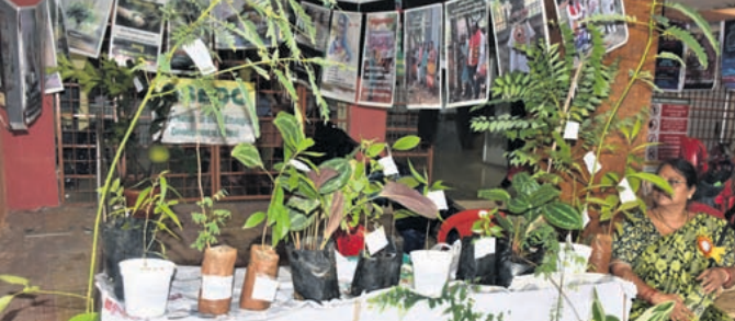 World kitchen garden day:  Urban farmers push for healthy, sustainable food