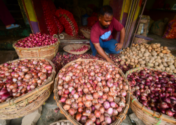 Onion