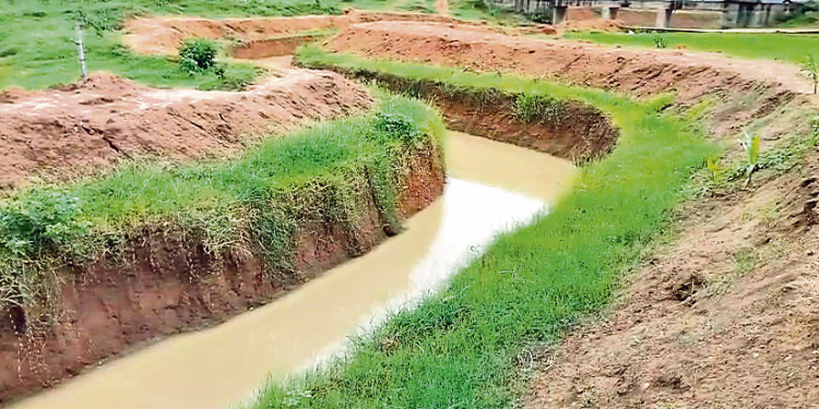 Rainwater conservation