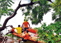 Nilagiri's Blue Lake
