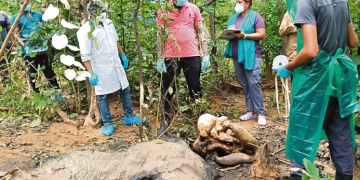 Riamal forest range