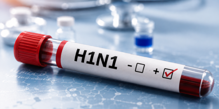 H1N1