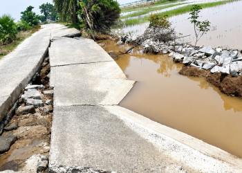 Bhadrak