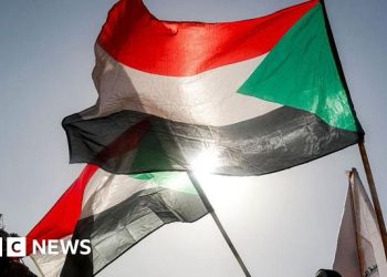 Sudan army drone strike on Darfur court kills 35, says rights group