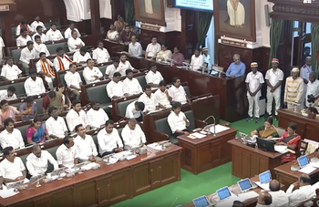 TN Assembly