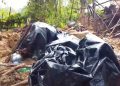 Wall collapse