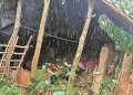 Wall collapse