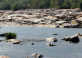 Cauvery row