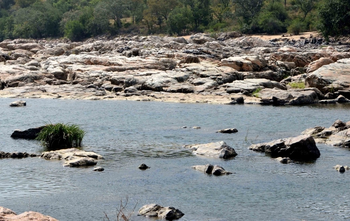 Cauvery row