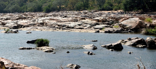 Cauvery row