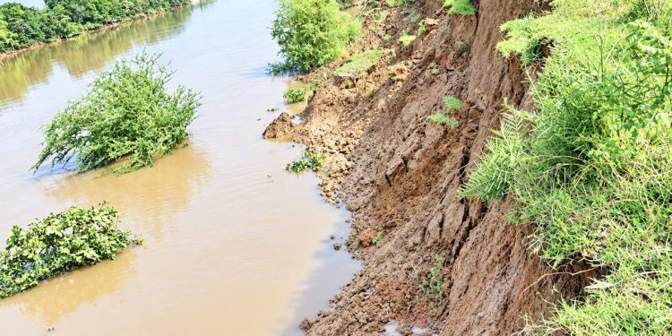 200-ft stretch of Baitarani embankment collapses