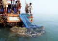 Fishermen