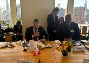 MEA-India attends France-Mexico-hosted meeting