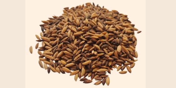 Kaala jeera rice Odisha