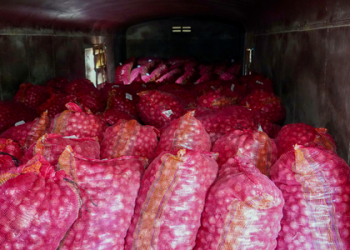 Onions