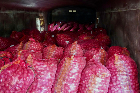 Onions