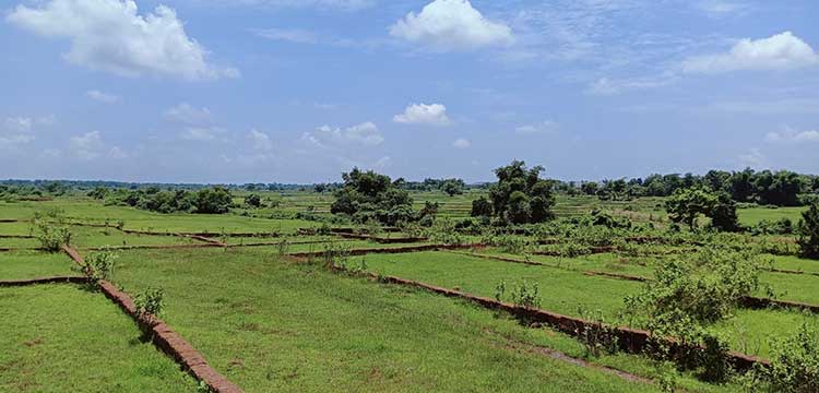 Vasundhara land-Kalahandi