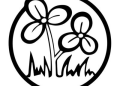 SC-Trinamool name