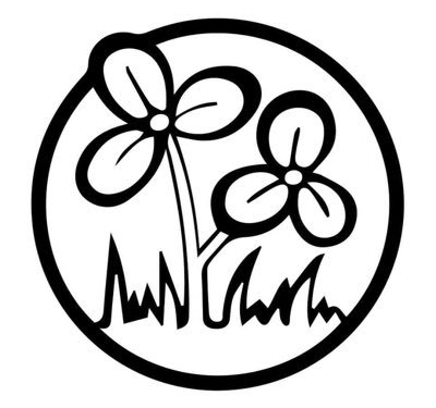SC-Trinamool name