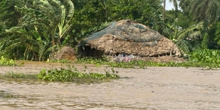 Odisha Floods