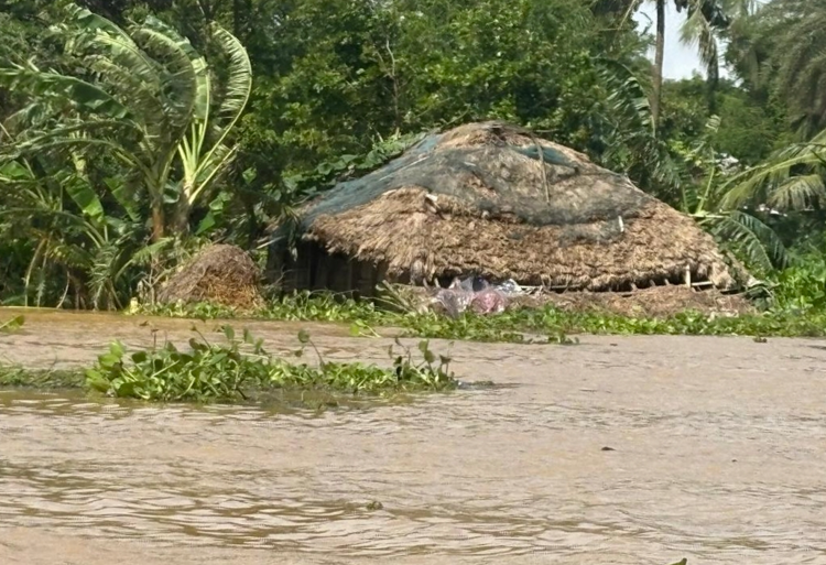 Odisha Floods