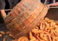 khaja