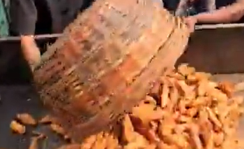 khaja