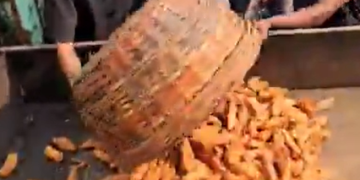 khaja