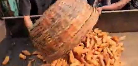 khaja