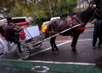 Central Park’s horse-drawn carriages face ban