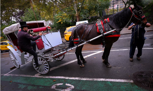 Central Park’s horse-drawn carriages face ban