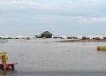 Andhra coast