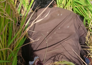 BSF thwarts infiltration