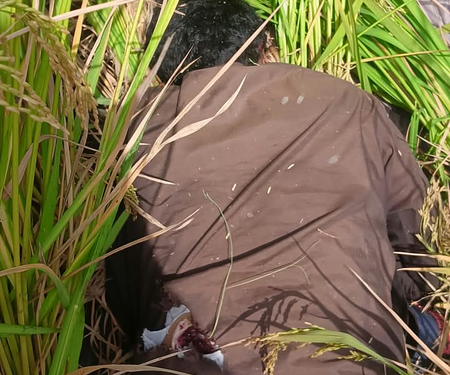BSF thwarts infiltration