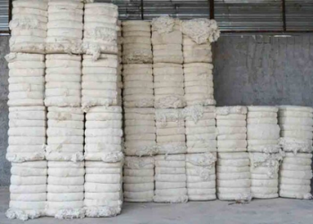 Centre extends customs duty exemption on cotton imports till December 31