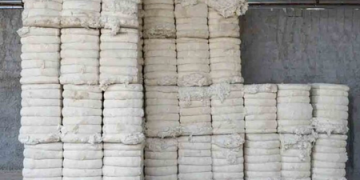 Centre extends customs duty exemption on cotton imports till December 31