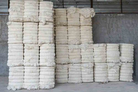 Centre extends customs duty exemption on cotton imports till December 31
