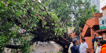 Cyclone Arnab