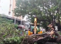 Cyclone ‘Arnab’