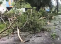 Cyclone Arnab