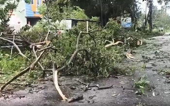 Cyclone Arnab