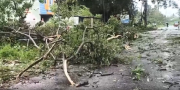 Cyclone Arnab