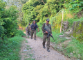 Pakistan smugglers deploy multiple drones to overwhelm India's security systems